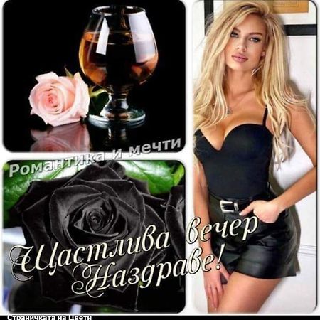 Къща За Гости "Черната Роза" Bŭlgarevo Eksteriør bilde
